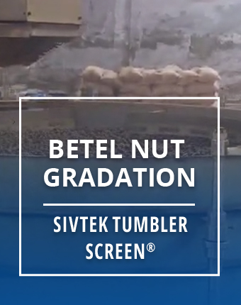 Bettle nut